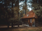 wooden house on a forest